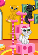 Kitty Beauty Spa Kitty Beauty Spa